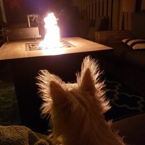 Meet your Posher, Deirdre